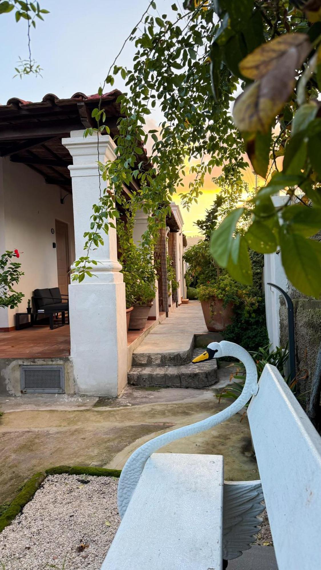 Il Cigno B&B Capri Exterior photo