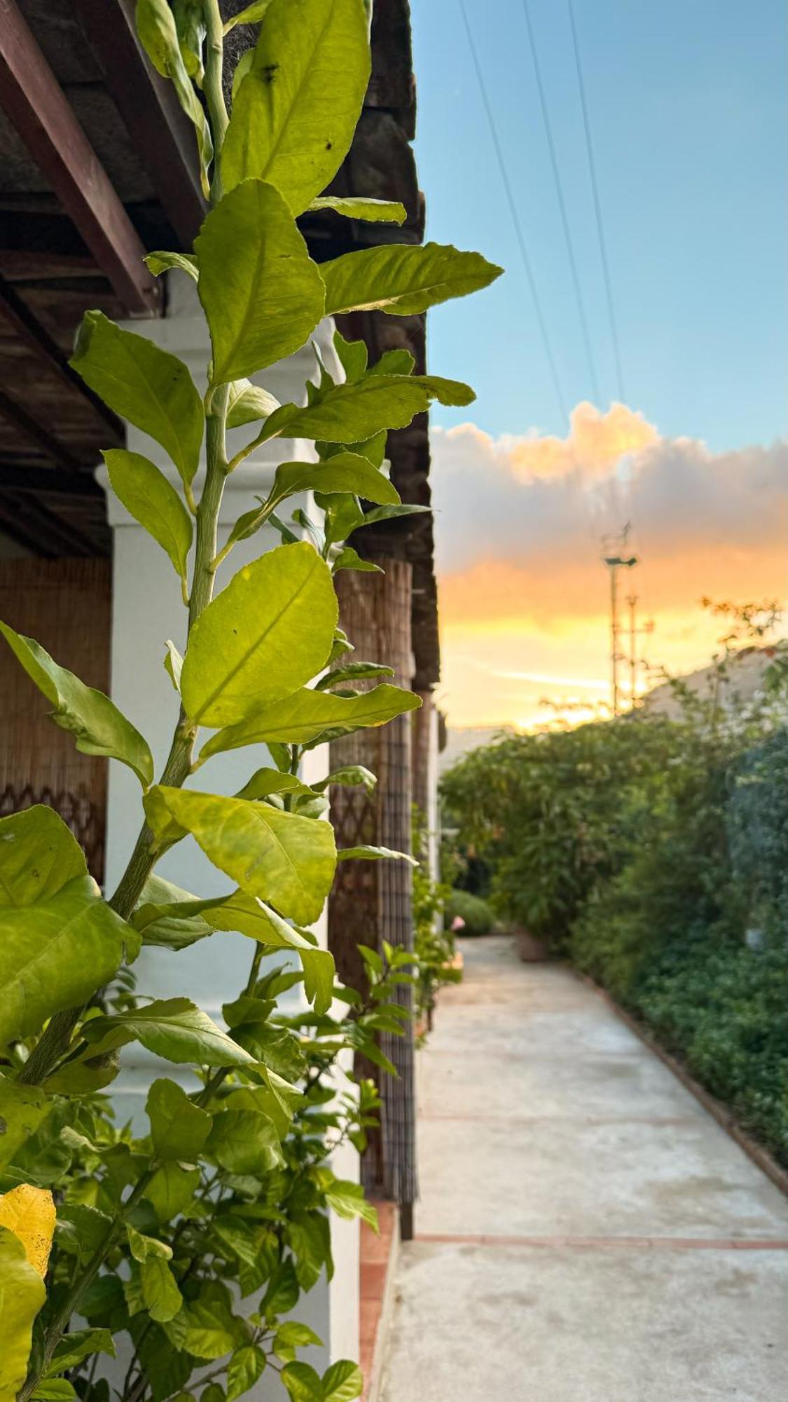 Il Cigno B&B Capri Exterior photo