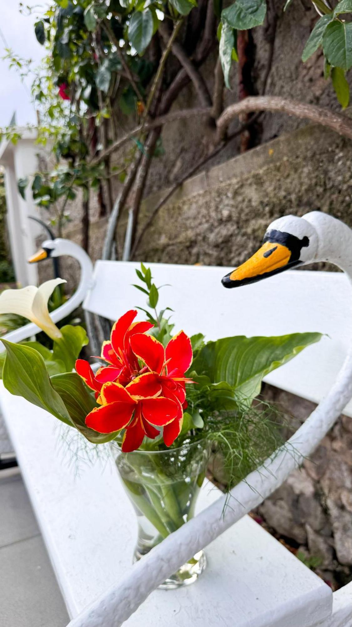 Il Cigno B&B Capri Exterior photo