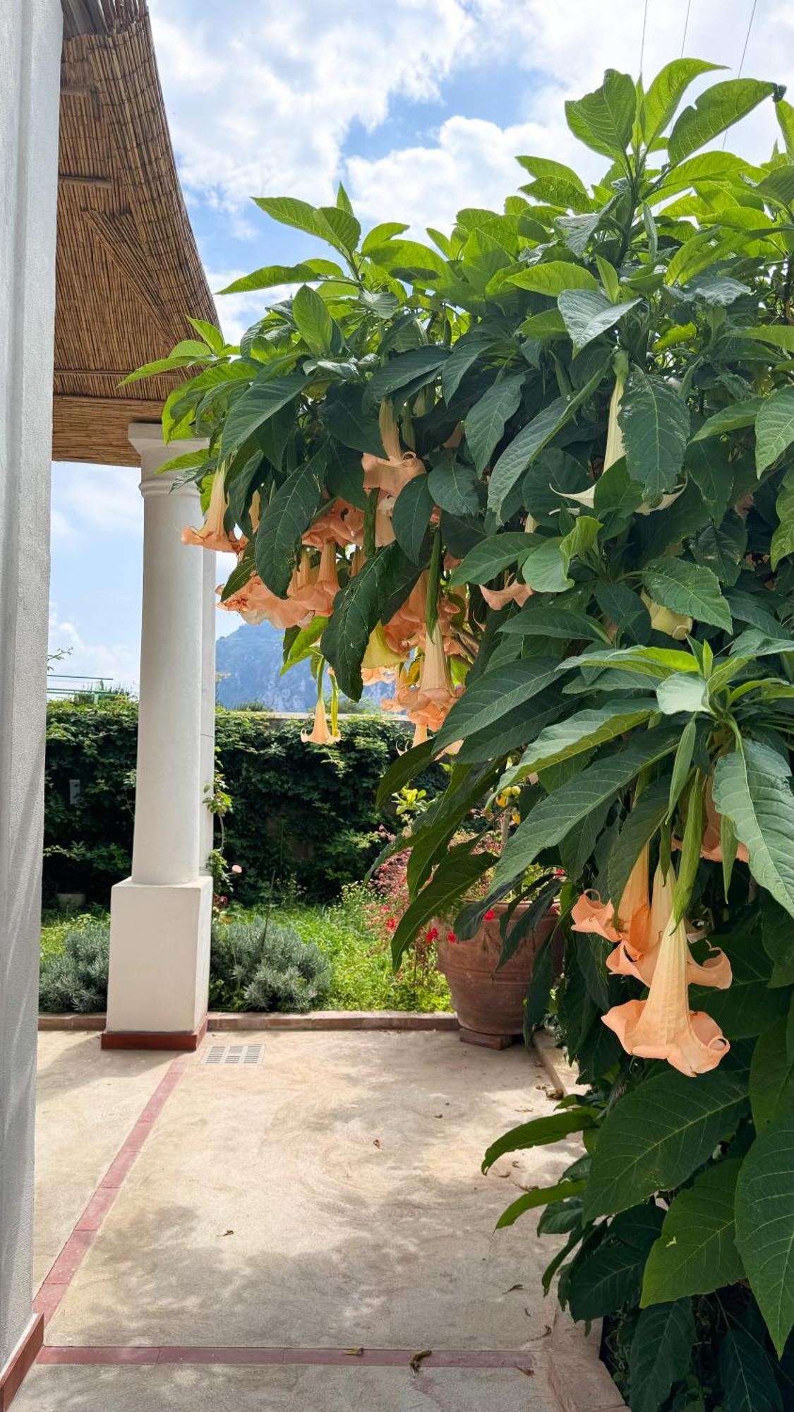 Il Cigno B&B Capri Exterior photo