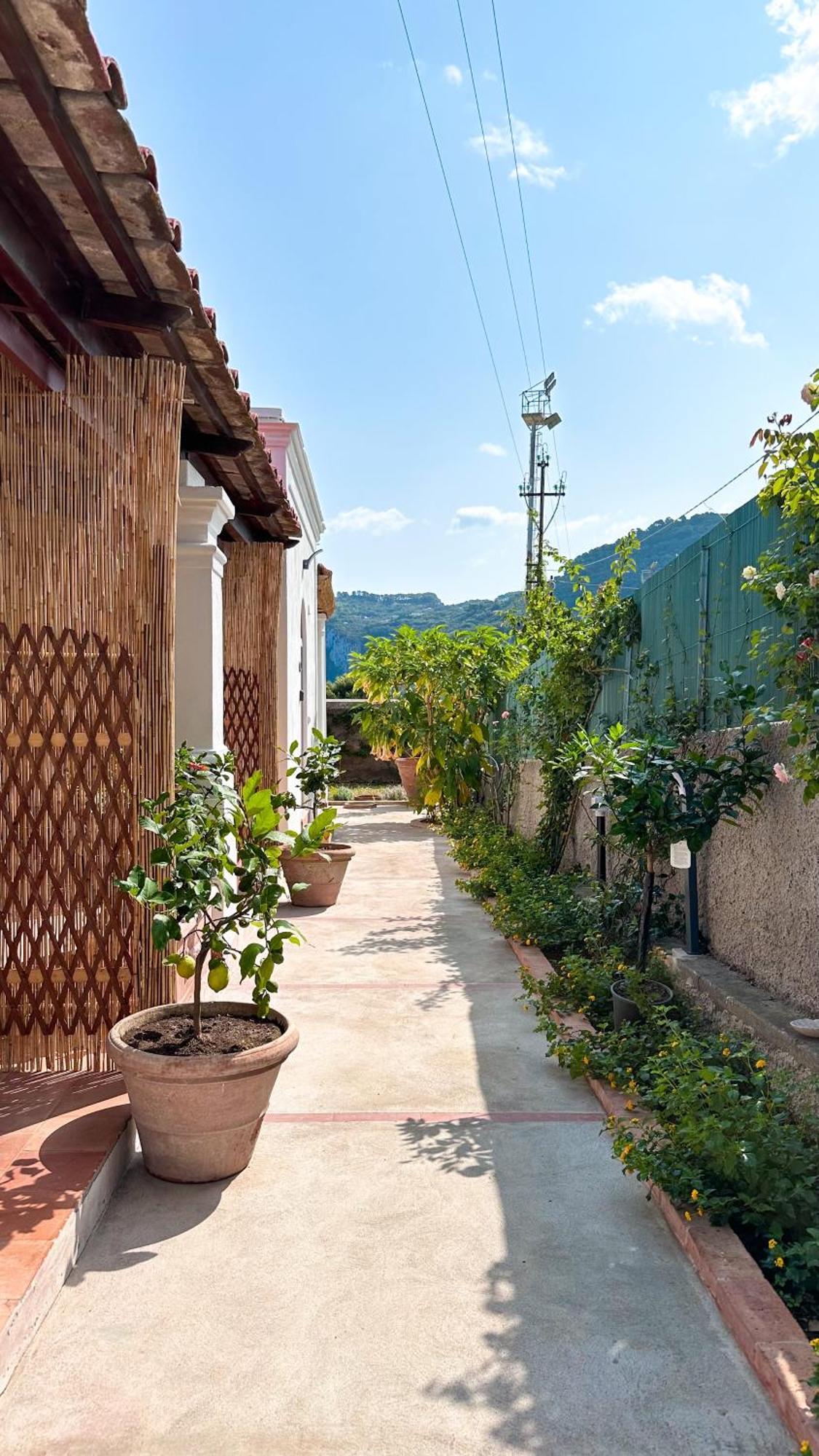 Il Cigno B&B Capri Exterior photo